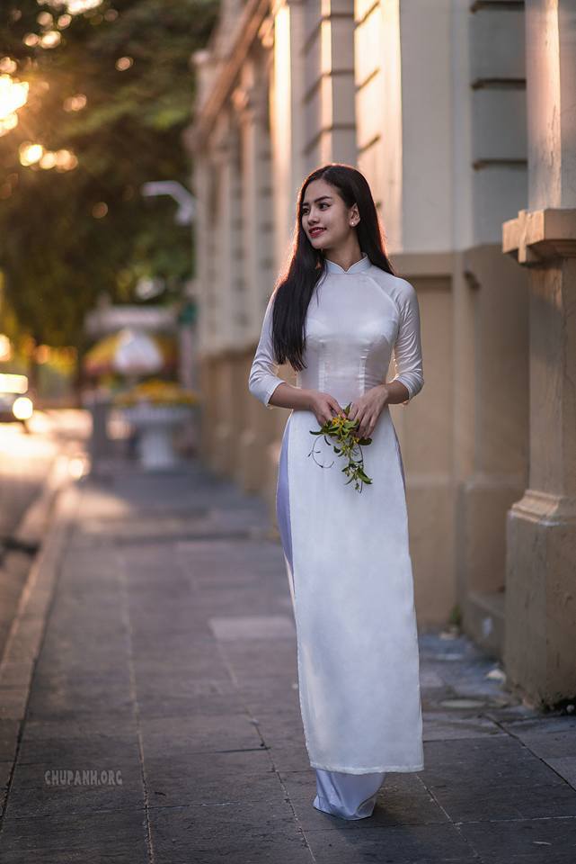 《贪婪之岛2》在线播放